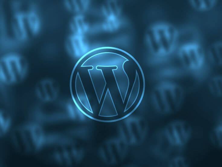 Freelance Website Developer